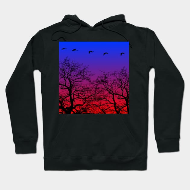 Goose Goose Sunset Goose Flying Winter Hoodie by Monstershirts